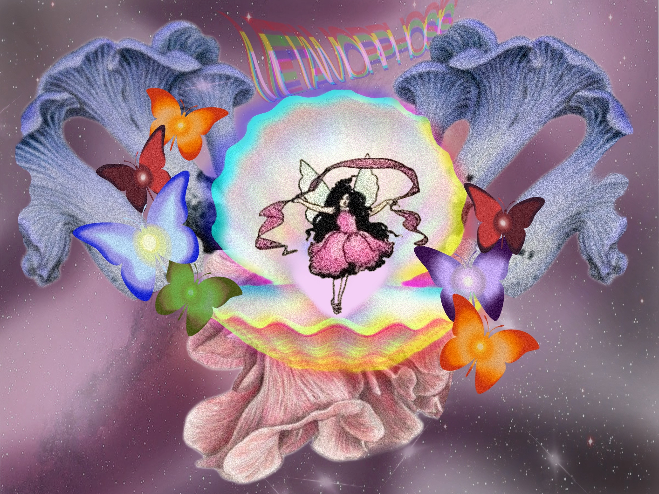 mushroom fairy oyster butterfly