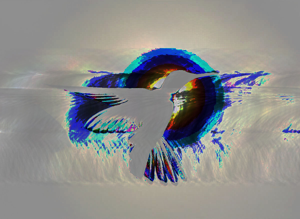 hummingbird glitch